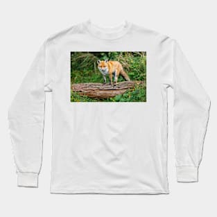 Fox Standing on Log Long Sleeve T-Shirt